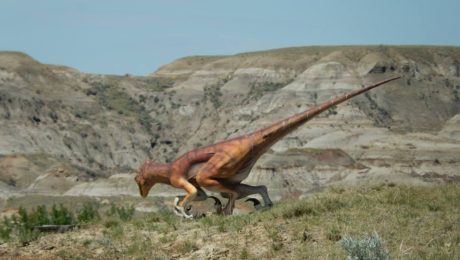 Dinosauři v Kanadě