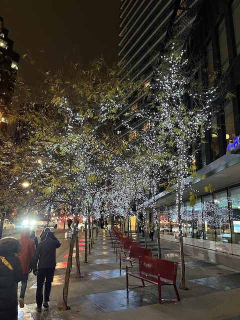 Ulice Vancouver ozdoby